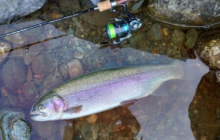 ばらしてばかり ～天竜川ルアーフライテンカラ専用区～
